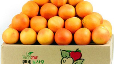 자몽40과1박스 득템 후기! 꿀팁 대방출🍊