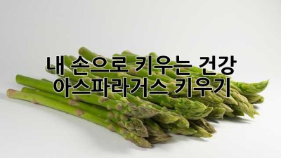 내 손으로 키우는 건강, 아스파라거스 키우기