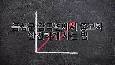 음성군 감곡면에서 중고차 안전하게 사는 법