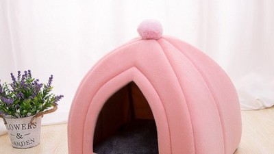 꿀잠 예약! 쿨베어바디필로우 솔직 후기 & 꿀팁 🐻💤